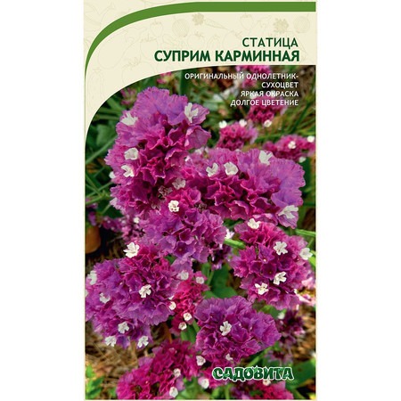 картинка Статица Суприм Карминная 0,15г ц/п (Садовита) магазин Одежда+ являющийся официальным дистрибьютором в России 