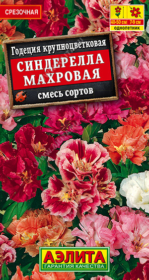 картинка Годеция Синдерелла, смесь 0,3г ц/п (Аэлита) махровая магазин Одежда+ являющийся официальным дистрибьютором в России 