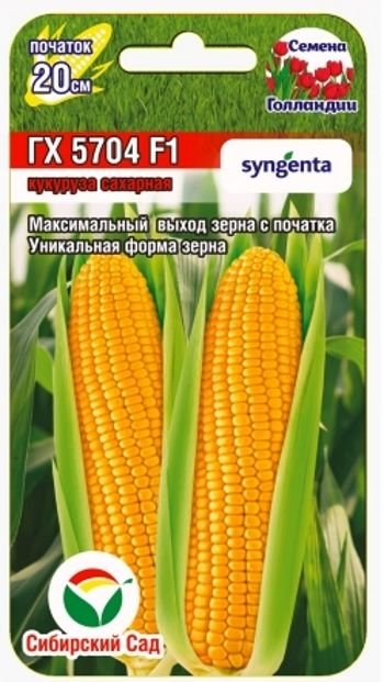 картинка Кукуруза ГХ 5704 F1 6шт (СибСад) Новинка! магазин Одежда+ являющийся официальным дистрибьютором в России 
