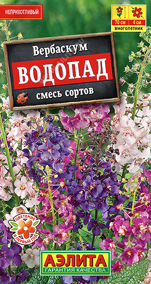картинка Вербаскум Водопад, смесь 0,1г ц/п (Аэлита)  магазин Одежда+ являющийся официальным дистрибьютором в России 