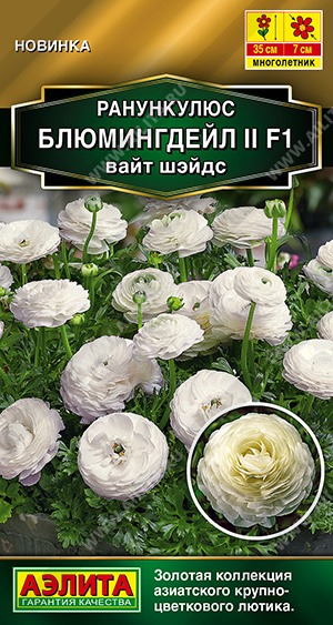 картинка Ранункулюс Блюмингдейл 11 F1 Вайт Шэйдс 3шт ц/п (Аэлита) магазин Одежда+ являющийся официальным дистрибьютором в России 