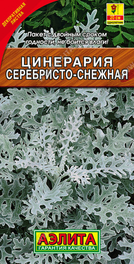 картинка Цинерария Серебристо-снежная 0,05г ц/п (Аэлита) приморская магазин Одежда+ являющийся официальным дистрибьютором в России 