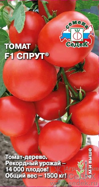 Томат Спрут F1 0,03г ц/п (Седек) томат-дерево