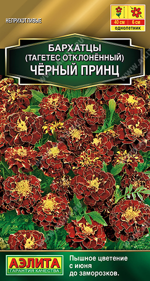 картинка Бархатцы Черный принц 0,3г ц/п (Аэлита)  магазин Одежда+ являющийся официальным дистрибьютором в России 