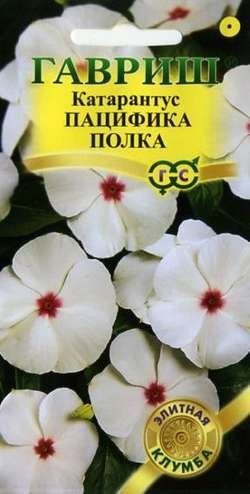 картинка Катарантус Пацифика Полка ц/п (Гавриш) Элит. клумба магазин Одежда+ являющийся официальным дистрибьютором в России 