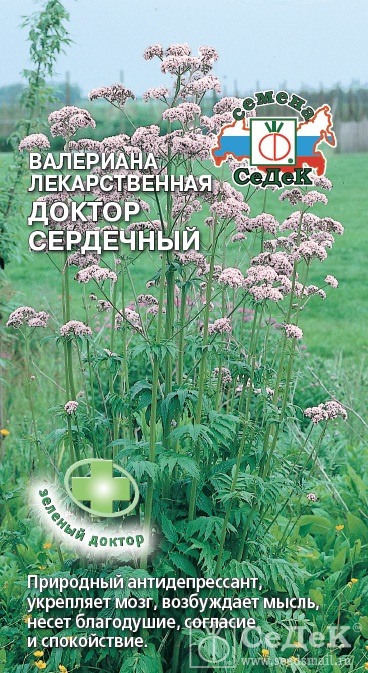 картинка Валериана Доктор Сердечный 0,05г ц/п (Седек) магазин Одежда+ являющийся официальным дистрибьютором в России 