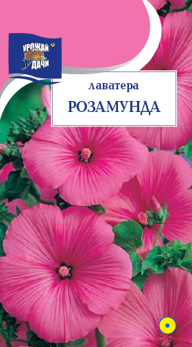 картинка Лаватера Розамунда 0,3г ц/п (УУ) магазин Одежда+ являющийся официальным дистрибьютором в России 