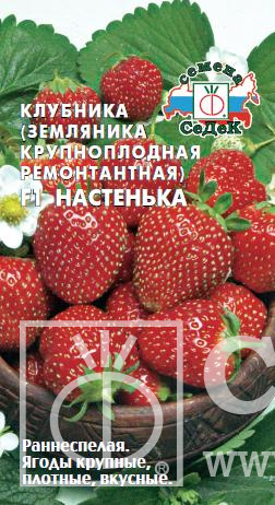 картинка Земляника Настенька F1 0,04г ц/п (Седек) магазин Одежда+ являющийся официальным дистрибьютором в России 