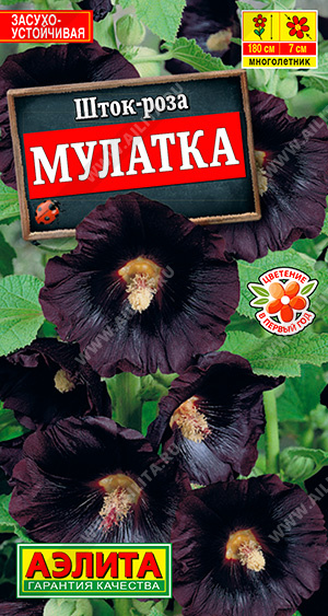 картинка Шток-роза Мулатка 10шт ц/п *(Аэлита) магазин Одежда+ являющийся официальным дистрибьютором в России 