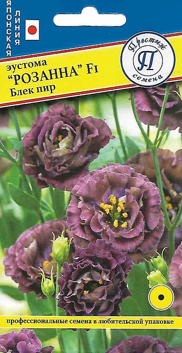 картинка Эустома Розанна Блек Пир 3шт F1 (Престиж) магазин Одежда+ являющийся официальным дистрибьютором в России 