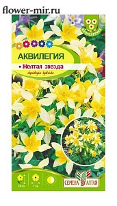 Аквилегия Желтая звезда F1 0,1г ц/п (СемАлт)