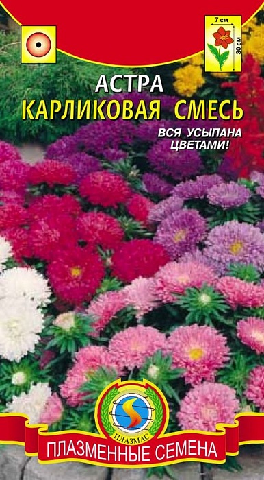 картинка Астра Карликовая смесь 0,3г ц/п (ПлазмаС) магазин Одежда+ являющийся официальным дистрибьютором в России 