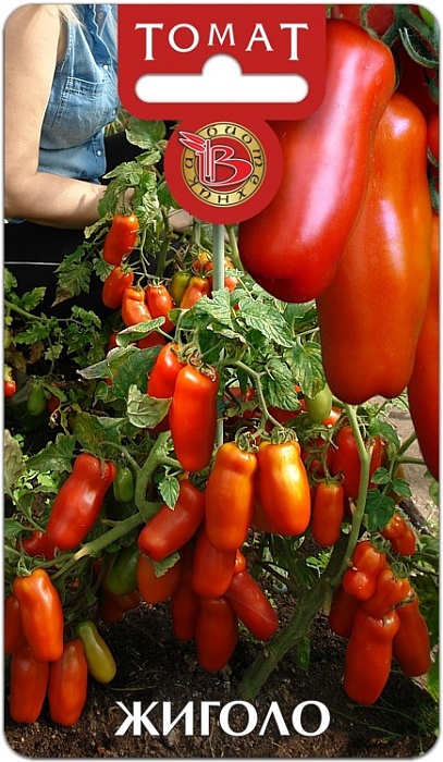 картинка Томат Жиголо 20шт (Биотехника) магазин Одежда+ являющийся официальным дистрибьютором в России 