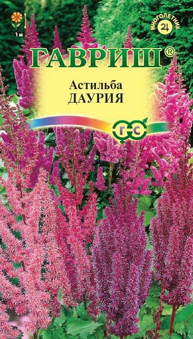 картинка Астильба Даурия китайская, смесь 0,05г ц/п (Гавриш) магазин Одежда+ являющийся официальным дистрибьютором в России 