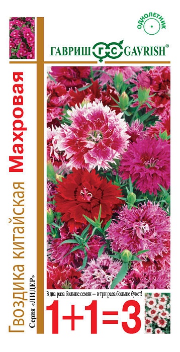 картинка Гвоздика китайская Махровая, смесь 0,6г серия 1+1 ц/п (Гавриш) магазин Одежда+ являющийся официальным дистрибьютором в России 
