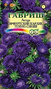 Астра Эрфуртский карлик Темно-синяя 0,3г ц/п (Гавриш)