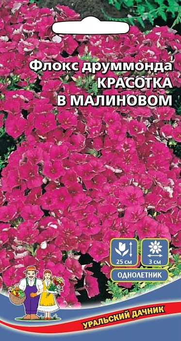 картинка Флокс Красотка в малиновом 0,2г (УД) магазин Одежда+ являющийся официальным дистрибьютором в России 