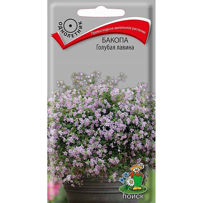картинка Бакопа Голубая лавина 5шт ц/п (Поиск) магазин Одежда+ являющийся официальным дистрибьютором в России 