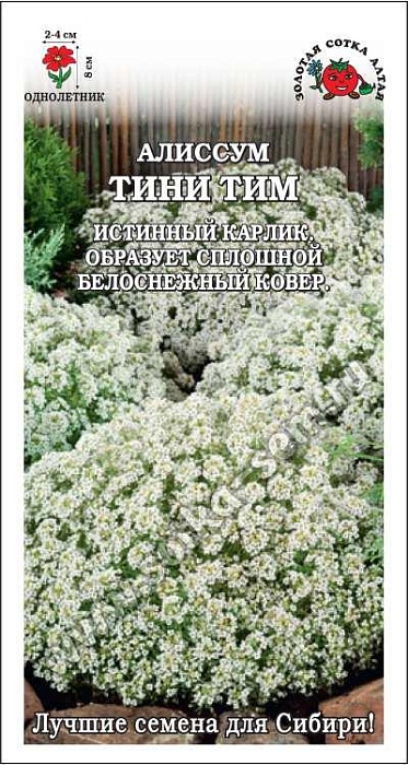 картинка Алиссум Тини Тим белый 0,1г ц/п (З/Сотка) магазин Одежда+ являющийся официальным дистрибьютором в России 