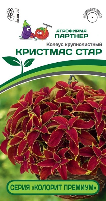 картинка Колеус Кристмас Стар 5шт (Партнер) Колорит премиум магазин Одежда+ являющийся официальным дистрибьютором в России 