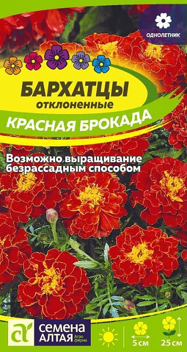 картинка Бархатцы Красная Брокада махровые 0,3г ц/п (СемАлт) магазин Одежда+ являющийся официальным дистрибьютором в России 