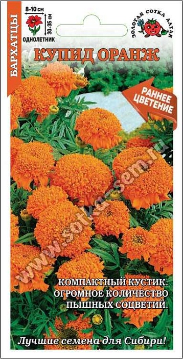 картинка Бархатцы Купид Оранж 0,2г ц/п (З/Сотка) 10см/35см магазин Одежда+ являющийся официальным дистрибьютором в России 