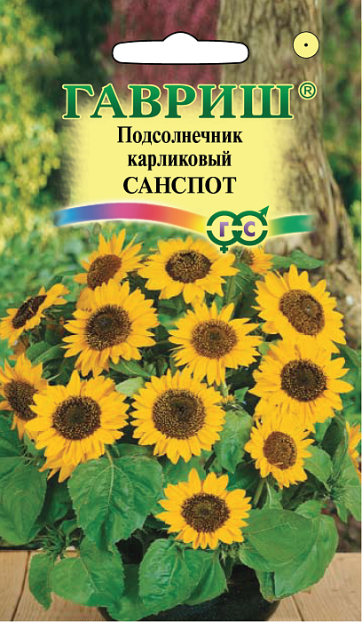 картинка Подсолнечник Санспот карликовый 0,5г ц/п (Гавриш) магазин Одежда+ являющийся официальным дистрибьютором в России 