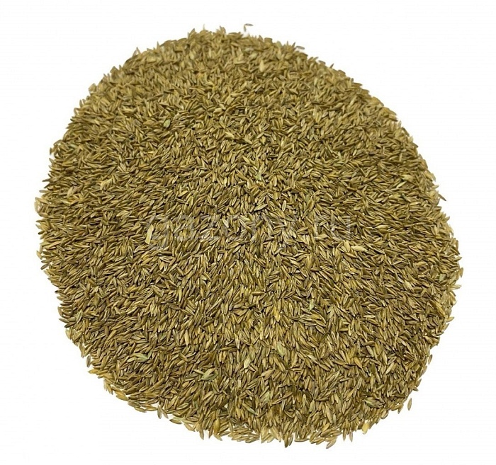 картинка Мятлик луговой "Балин" 500г (импорт) (Ал.Сад) 2/40 магазин Одежда+ являющийся официальным дистрибьютором в России 