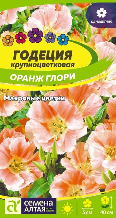 картинка Годеция Оранж Глори 0,2г ц/п (СемАлт) магазин Одежда+ являющийся официальным дистрибьютором в России 