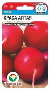 Редис Краса Алтая 2г (СибСад)