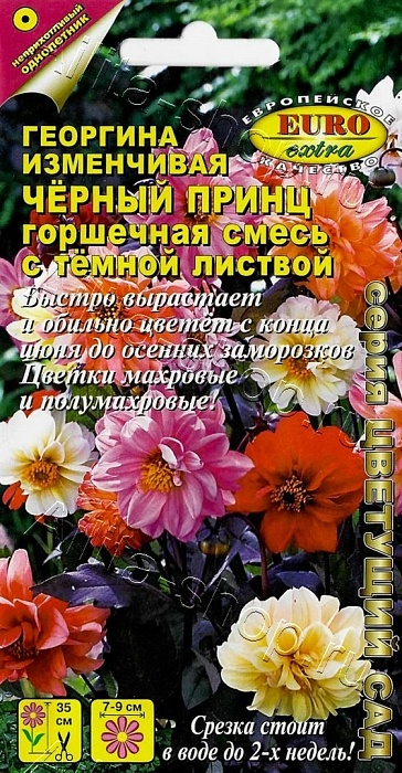 картинка Георгина Черный принц, смесь 0,2г ц/п (Аэлита) магазин Одежда+ являющийся официальным дистрибьютором в России 