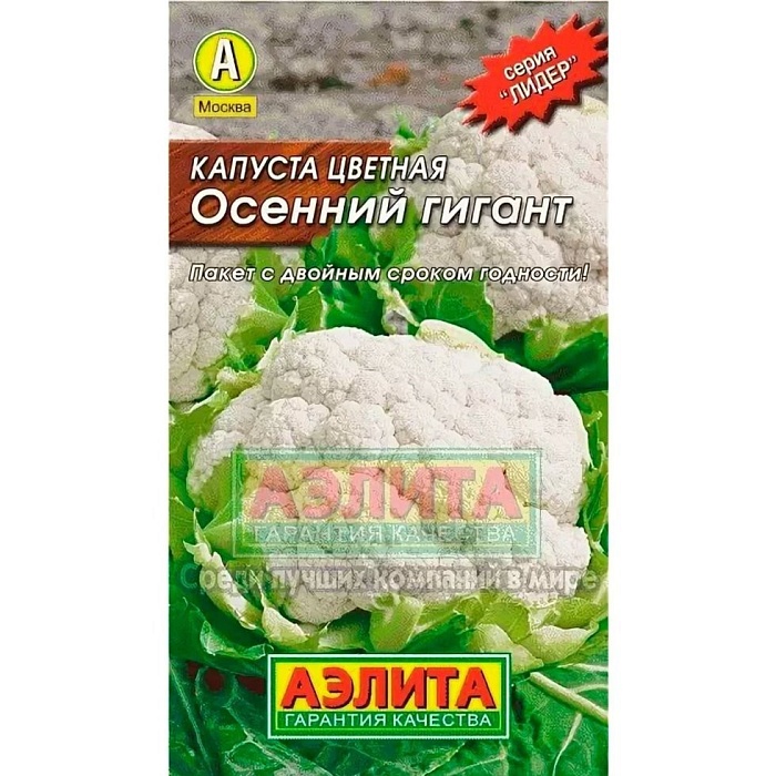 картинка Капуста цветная Осенний гигант 0,2г лид/п (Аэлита) ср/р,до 850г магазин Одежда+ являющийся официальным дистрибьютором в России 