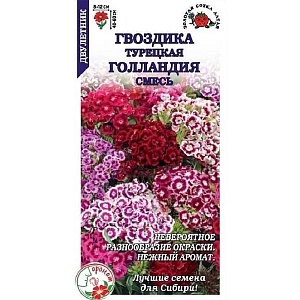 Гвоздика Турецкая Голландия 0,3г ц/п (З/Сотка)