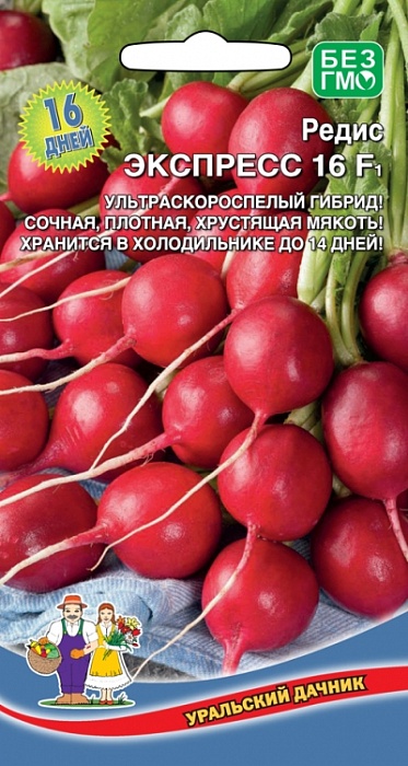 картинка Редис Экспресс 16 F1 2г ц/п (УД) магазин Одежда+ являющийся официальным дистрибьютором в России 