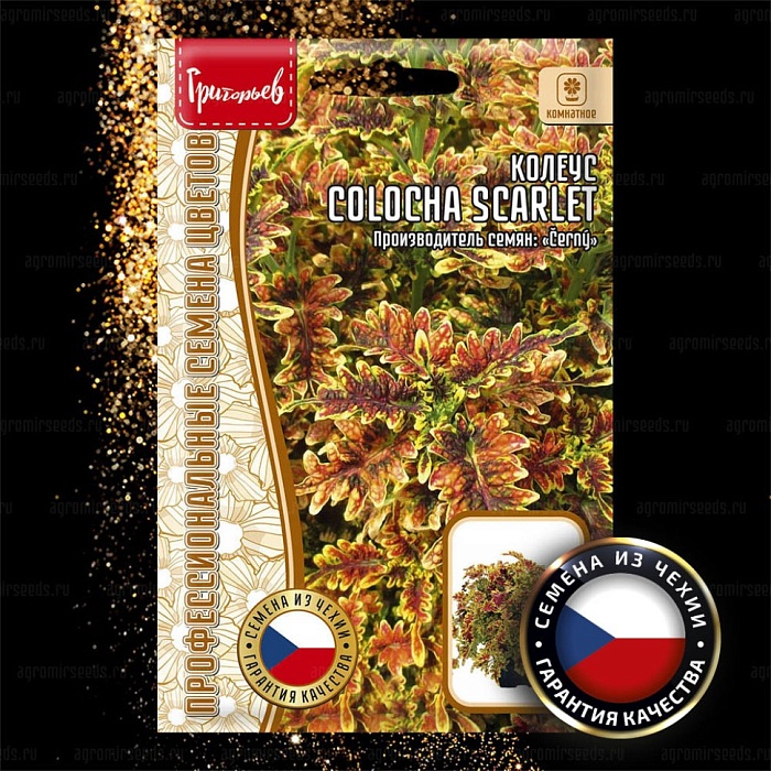 картинка Колеус Colocha Scarlet F1 5шт (Григорьев) магазин Одежда+ являющийся официальным дистрибьютором в России 