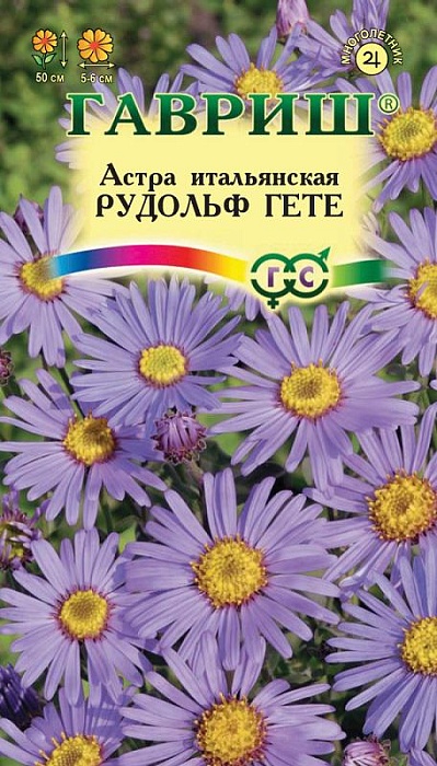 картинка Астра многолетняя Рудольф Гете ц/п (Гавриш) магазин Одежда+ являющийся официальным дистрибьютором в России 