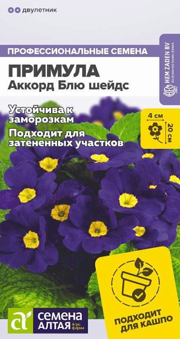картинка Примула Аккорд Блю 5шт ц/п (СемАлт) магазин Одежда+ являющийся официальным дистрибьютором в России 