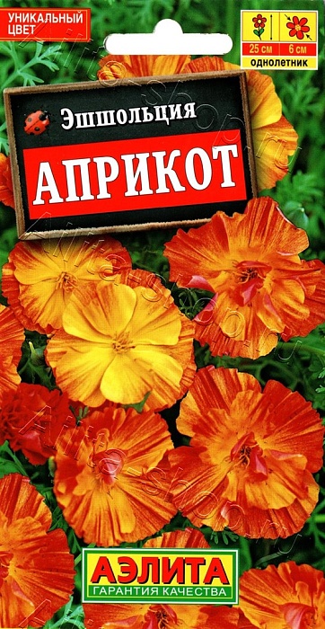 картинка Эшшольция Априкот ц/п *(Аэлита) магазин Одежда+ являющийся официальным дистрибьютором в России 