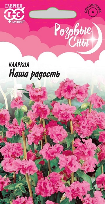 картинка Кларкия Наша радость ц/п (Гавриш) Роз.сны магазин Одежда+ являющийся официальным дистрибьютором в России 