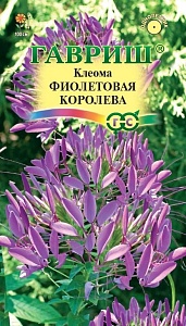 Клеома Фиолетовая королева 0,3г ц/п (Гавриш)