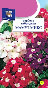 Вербена Мамут Микс гибридная 0,1г ц/п (УУ)