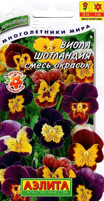 картинка Виола Шотландия, смесь сортов 20шт ц/п (Аэлита) магазин Одежда+ являющийся официальным дистрибьютором в России 