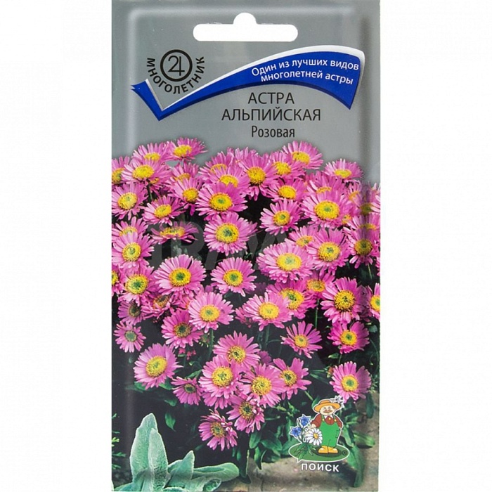 картинка Астра многолетняя Розовая альпийская 0,04г ц/п (Поиск) магазин Одежда+ являющийся официальным дистрибьютором в России 