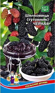 Шелковица (тутовник) Черная ц/п (УД)