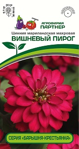 Цинния Вишневый пирог 5шт (Партнер)