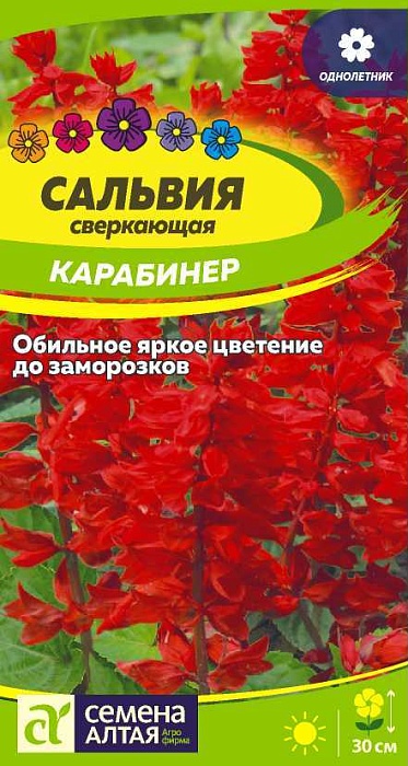 картинка Сальвия Карабинер 0,1г ц/п (СемАлт) магазин Одежда+ являющийся официальным дистрибьютором в России 