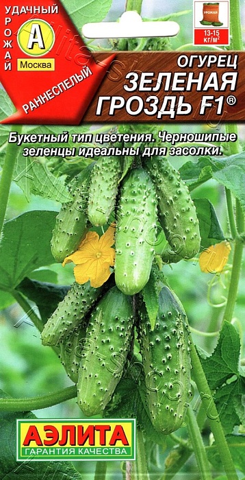 картинка Огурец Зеленая гроздь F1 10шт ц/п (Аэлита) магазин Одежда+ являющийся официальным дистрибьютором в России 