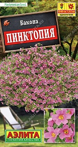 Бакопа Пинктопия 3шт ц/п (Аэлита)