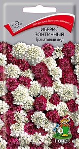Иберис Гранатовый лед 0,1г ц/п (Поиск) зонтичный