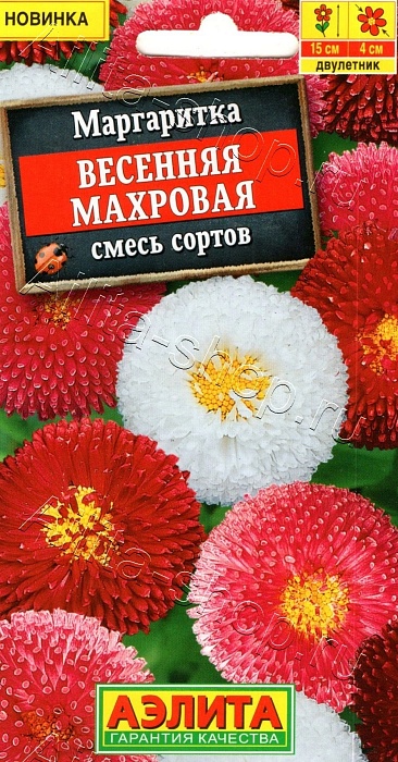 картинка Маргаритка Весенняя махровая, смесь 0,05г ц/п (Аэлита)  магазин Одежда+ являющийся официальным дистрибьютором в России 